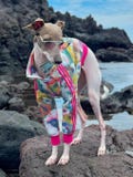 Italian Greyhound apparel;Track jacket product logo