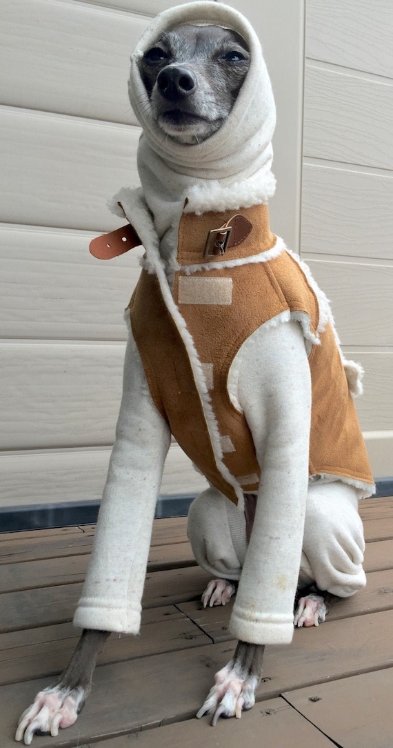 Italian top greyhound merchandise
