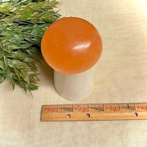 Peach Selenite / Selenite Mushroom