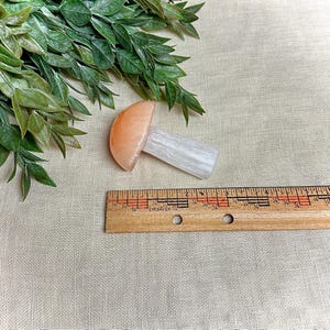 Peach Selenite / Selenite Mushroom