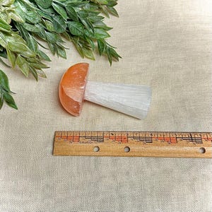Peach Selenite / Selenite Mushroom