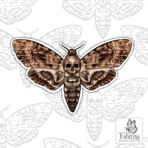 Realistic brown death head moth vinyl decal sticker  - butterfly - insect -skull