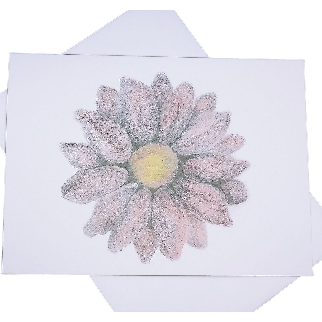 Pink Coneflower Blank Note Cards: Hand-drawn Art - Etsy