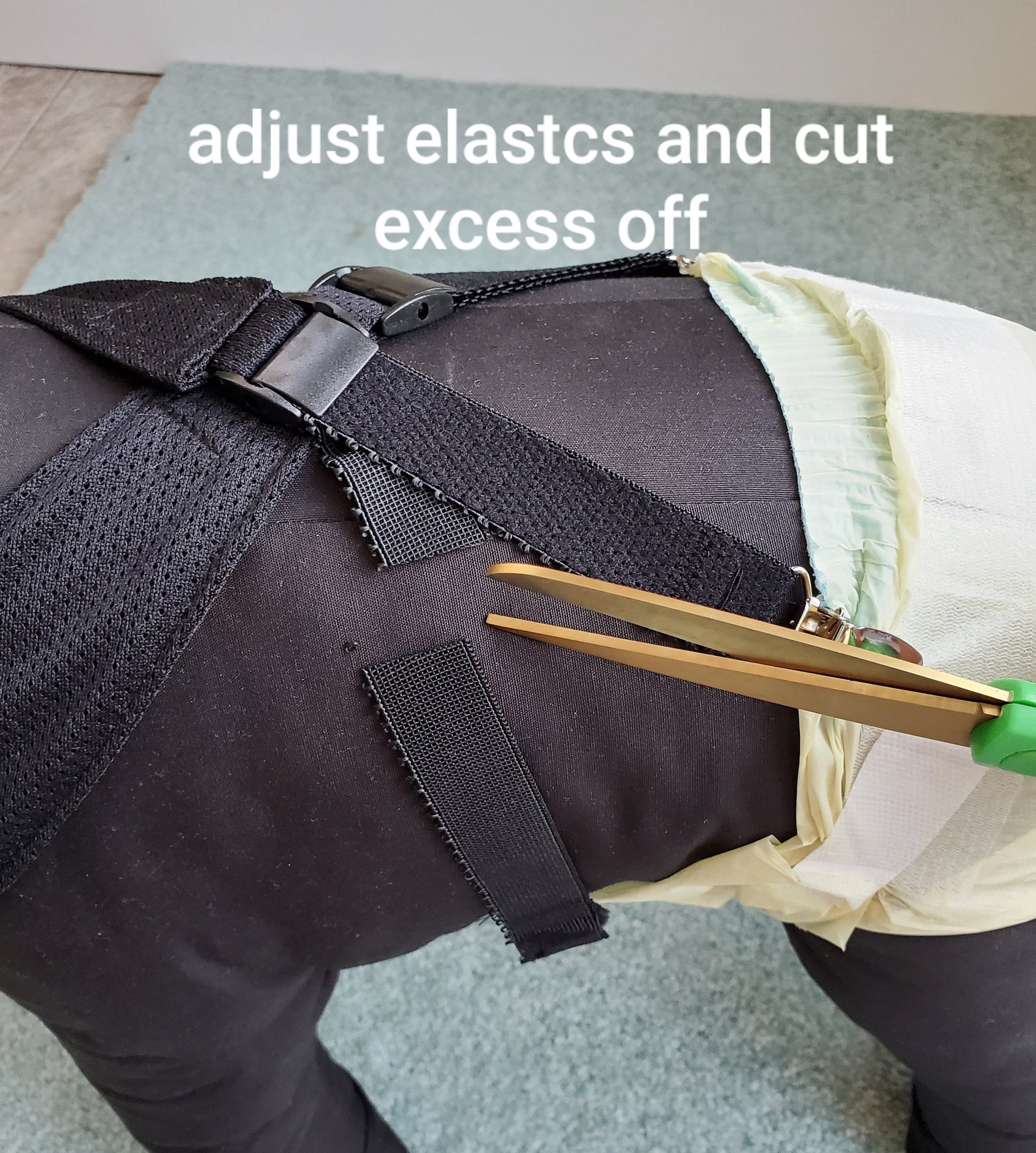 Basic Dog Suspender Fitted Around Your Dog's Shoulders. No Etsy