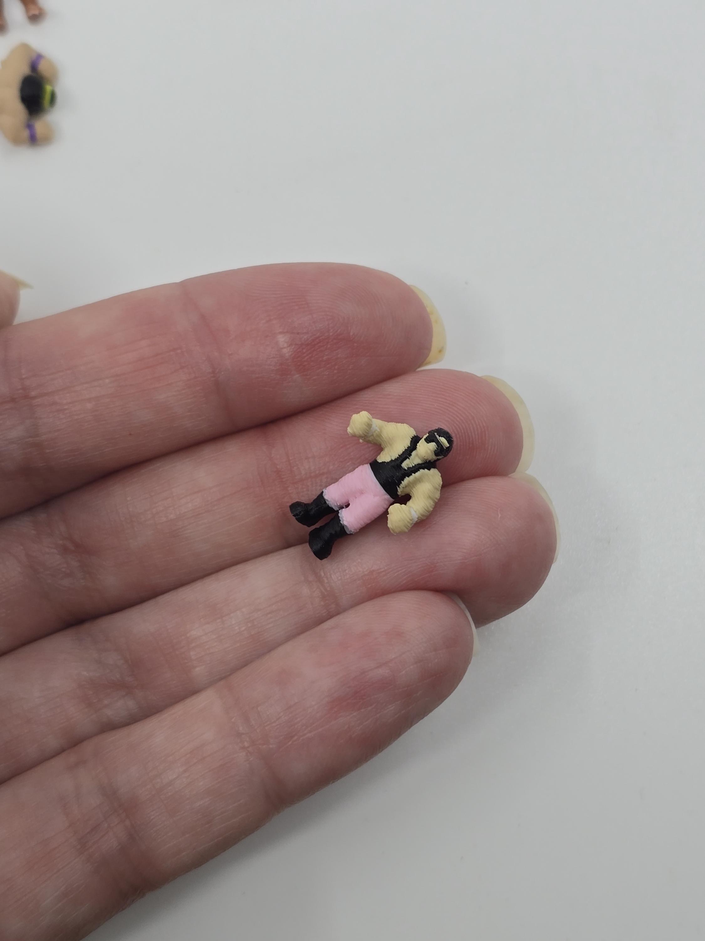 1:12スケールの小さなWWFスーパースターカスタム3Dプリントミニ