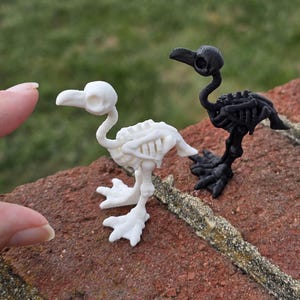 Può includere: Due figurine di scheletri di uccelli, una bianca e una nera, sono posizionate su una superficie di mattoni. La figura bianca è a sinistra, quella nera a destra. I dettagli scheletrici sono ben visibili.