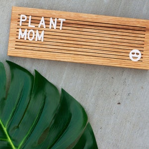 May include: A wooden sign with the text "PLANT MOM" and a smiley face. A large green leaf is in the bottom left corner of the image.