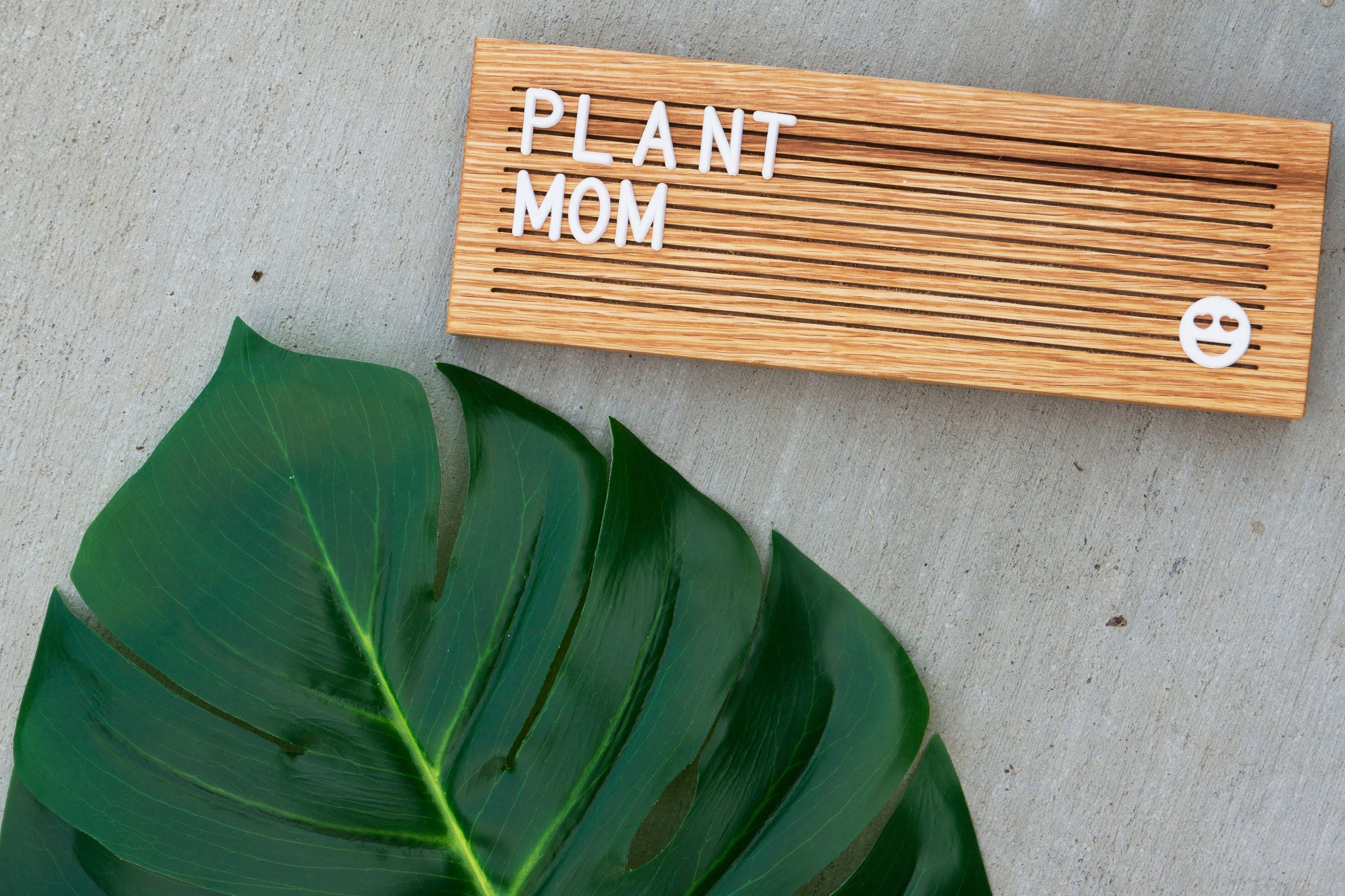 wooden-letter-board-desktop-3-5-x-10-with-350-letters-oak-cubical
