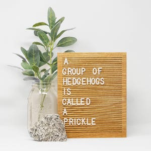 Wooden Letter Board 8x10 - Oak