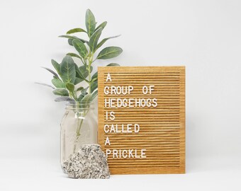 Wooden Letter Board 8x10 - Oak - Letterboard, Message Board, Felt Board, Modern Farmhouse, Modern Cabin, Natural, Organic, Handcrafted, Wood
