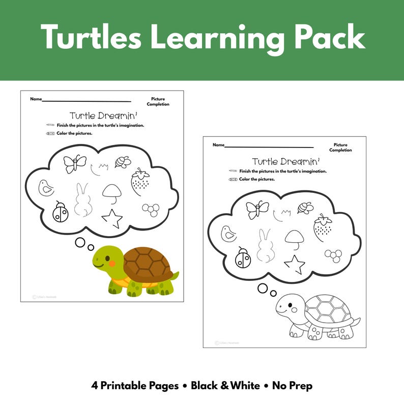 Turtle Learning Activities for Preschool and Kindergarten | Printable ...