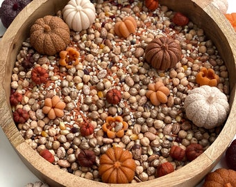 Autumn Harvest Sensory Mix