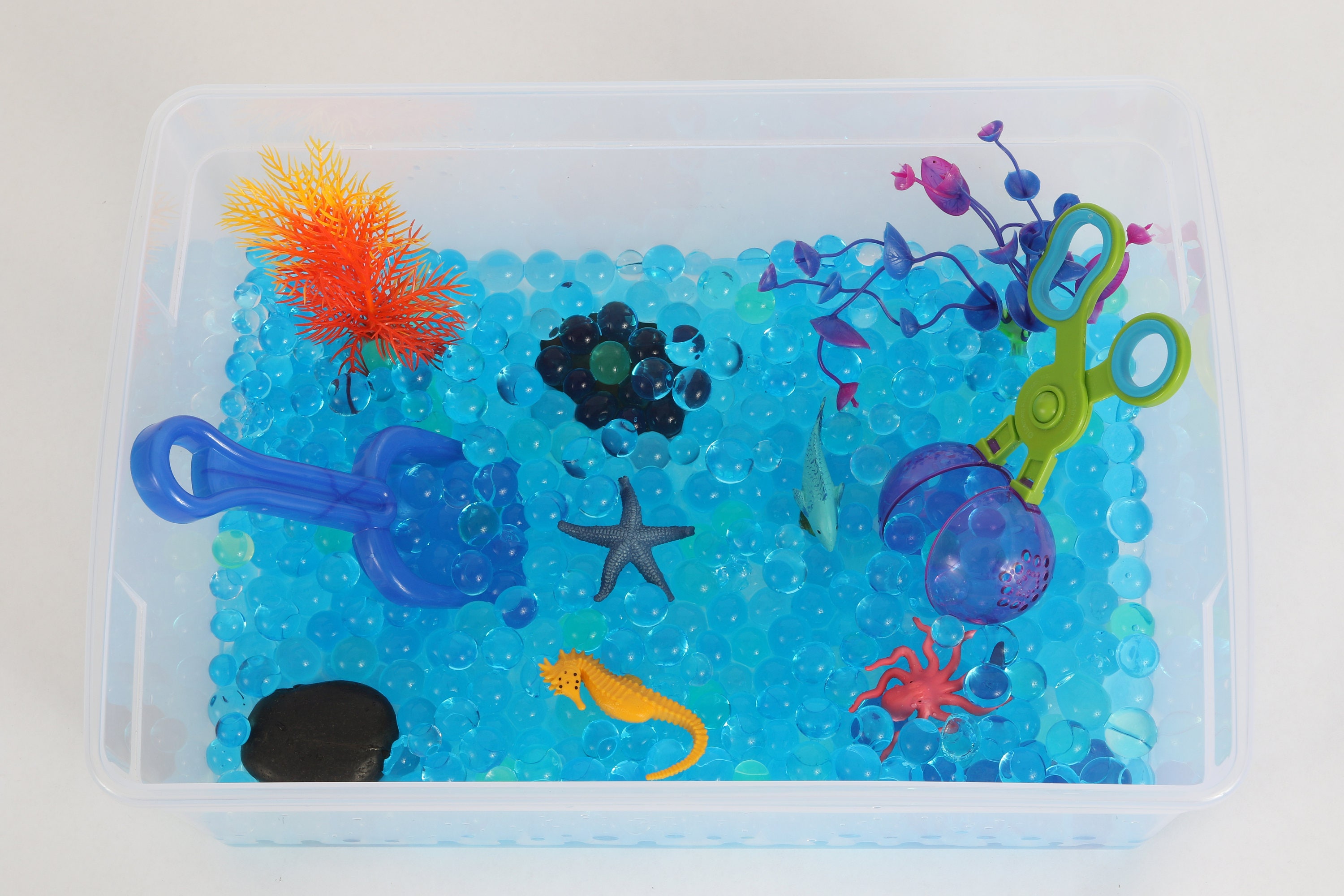 ocean educational toys