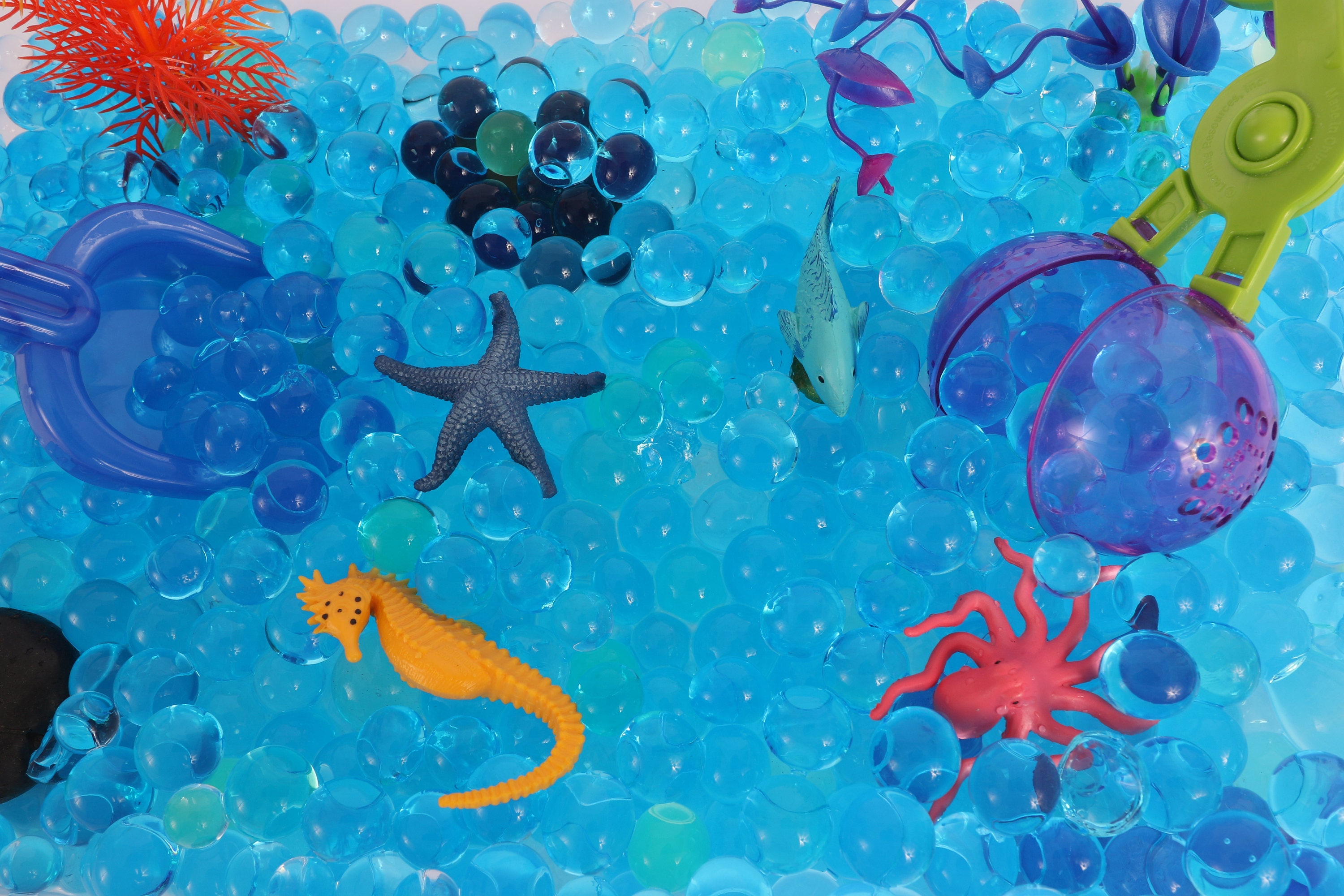 Water Play Toys / Ocean Toys / Early Learning Toys / Activity Etsy