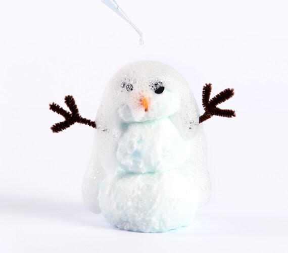 science craft kits