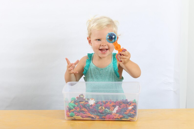 6 Months Monthly Subscription Box for Kids Sensory Toys for 3 Year Old