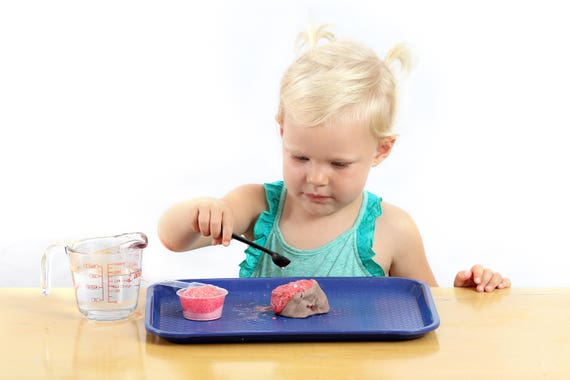 toddler science kit