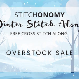 OVERSTOCK SALE Winter 2024 Stitch along / Winter 2023 Stitch along / Snowflake Needle Minder / Riviera Aqua Fabric 14 CT image 1