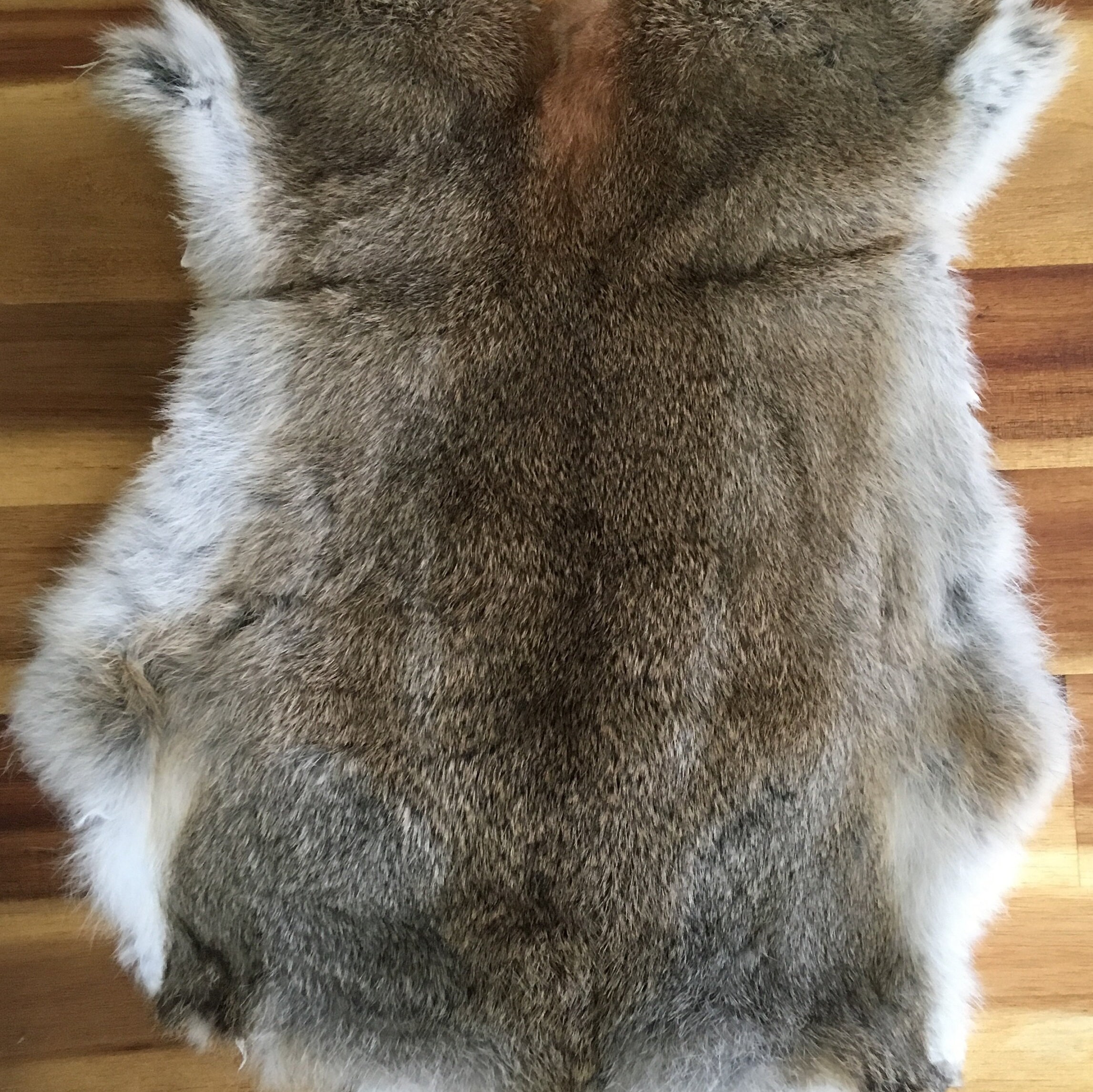 Tanned Rabbit Fur Skin Pelts – Sanctuary Traders