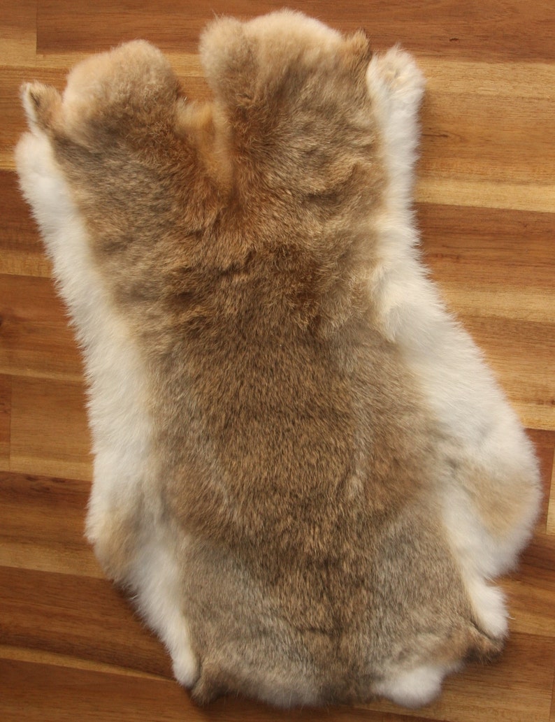tan rabbit hides tan rabbit hides