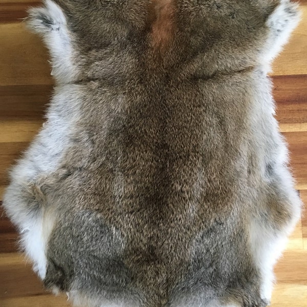 1x WILD MEADOW Rabbit Skin Fur Pelt Tanned for animal training, dummy, crafts, fashion, soft furnishing, fly tying, accessories, LARP, TR10