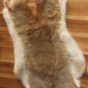 1x WILD WOODLAND Rabbit Skin Fur Pelt Tanned for dummy animal training crafts fashion clothing, accessories, soft furnishing, fly tying LARP