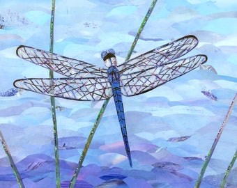 Dragonfly, Dragonflies, Butterfly, Butterflies, Insects, Nature, Natural, Nursery, Blues, Marsh, Wetlands, Water