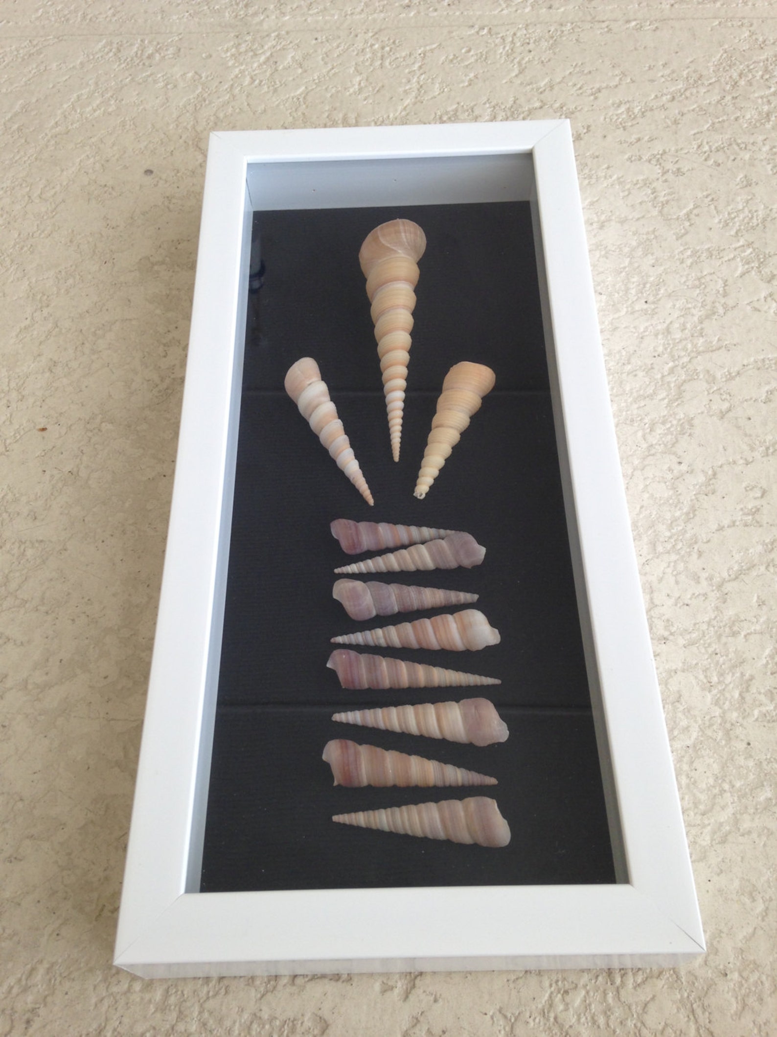 Sea Shell Shadow Box - Sea Shell Beach Wall Decor - Nautical Decor ...