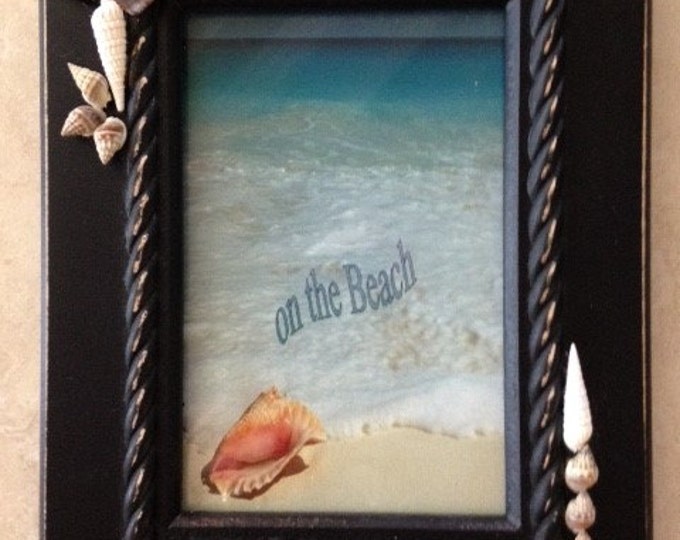 Ocean Shell Digital Frame Sea Shell Photo Frame Decorated Black 4 X 6 Frame With Assorted ...