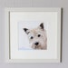 see more listings in the Westie section