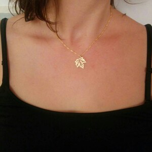 Puede incluir: Un collar de cadena de oro con un delicado colgante de hoja.