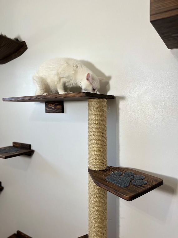 Cat climbing structures hotsell