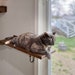 see more listings in the Cat Bed, Cat Shelf section