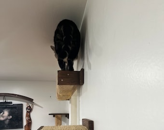 Flat Sisal Cat Step