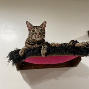 Cozy Kitty Bunk, Cat Tree, Shelf, Pet Steps, Cat Bed, Wall Mounted Shelf, Modern Cat Furniture, Fabric Cat Bed,