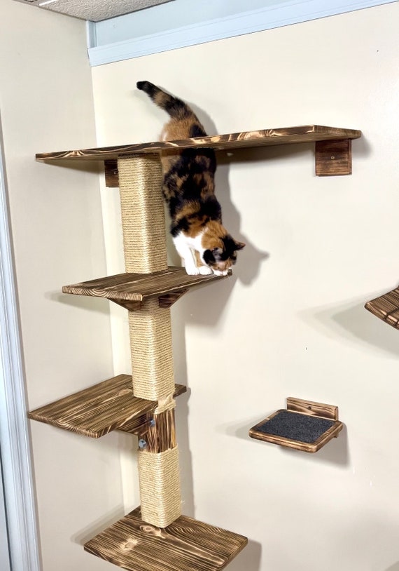 Multi level cat condo 2025