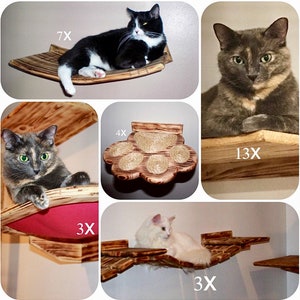 Cat Furniture Set, Cat Tree, Cat Shelves, Wall Steps, Wall Mounted Beds, Modern Cat Shelf, Cat Play Set