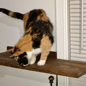 Cat Window Shelf Extension set of 2 image 4