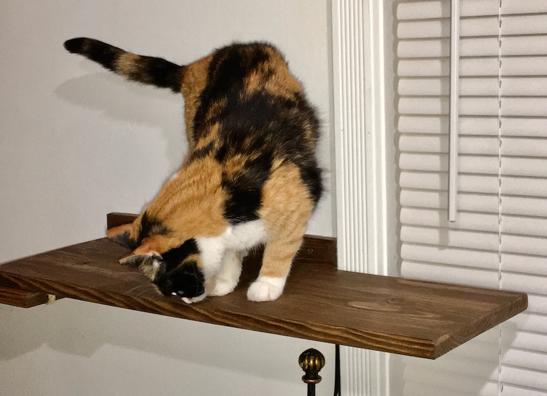 Cat Window Shelf Extension set of 2 image 4
