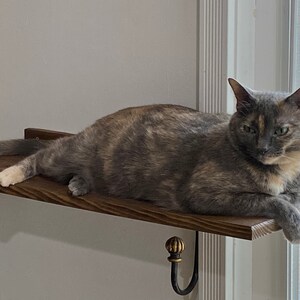 Cat Window Shelf Extension set of 2 image 3