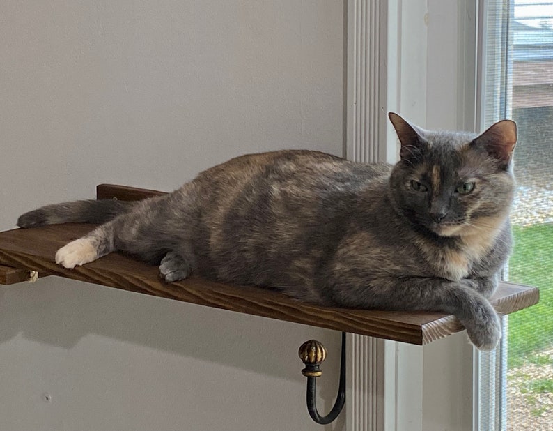 Cat Window Shelf Extension set of 2 image 3