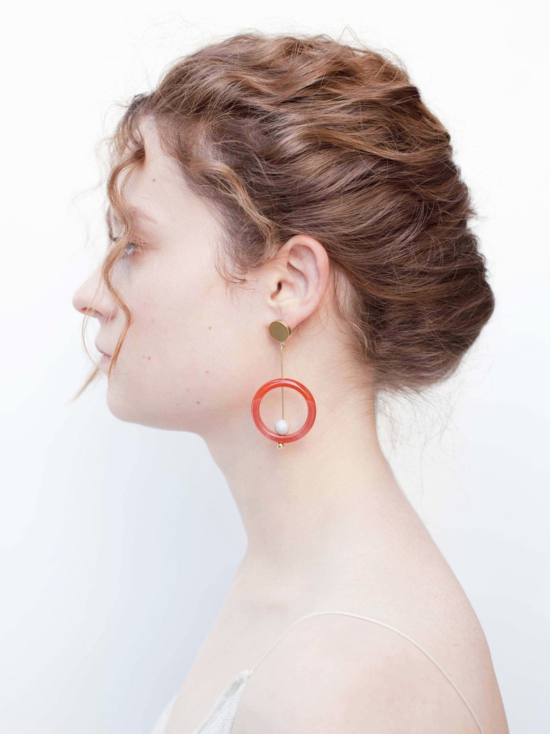 CarnelianBlack Agate Drop Earrings