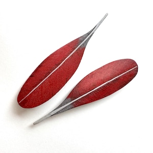 Puede incluir: Dos objetos rojos con forma de pluma con detalles blancos y grises. Las plumas tienen una vena central blanca y una superficie texturizada. Las puntas hacen la transición de rojo a gris. Las plumas están sobre un fondo blanco.