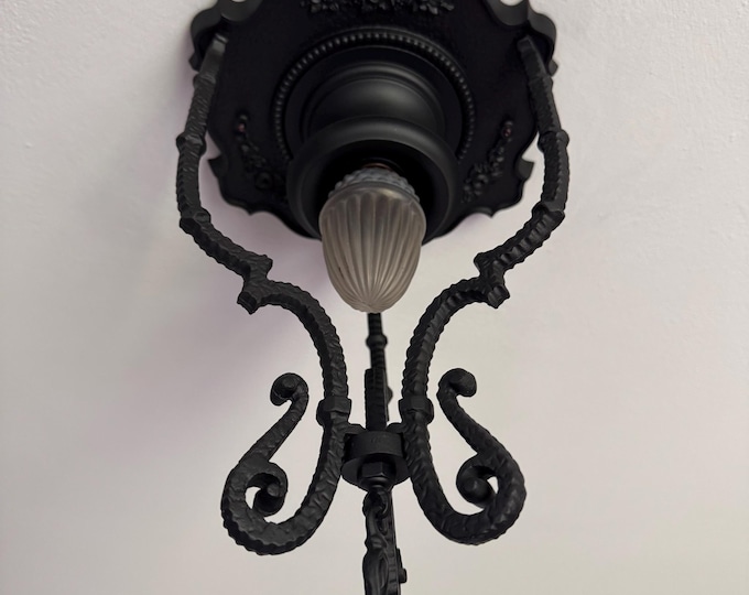 Hanging Antique Ceiling Light, 1920's Cast Aluminum with Barbola Roses, Single Bulb, Charcoal Black, Rewired and Ready to Install