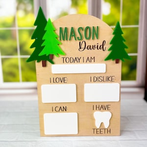 Baby Monthly Milestone Board | Dry Erase Milestone Board | Baby Milestone Board