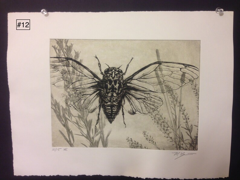 Original solarplate etching on stonehenge paper