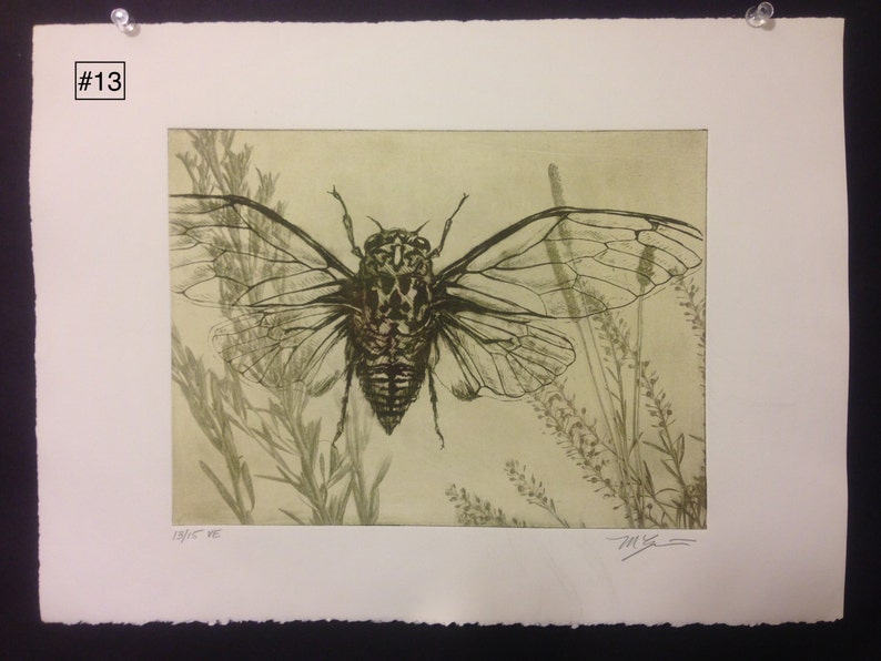 Original solarplate etching on stonehenge paper