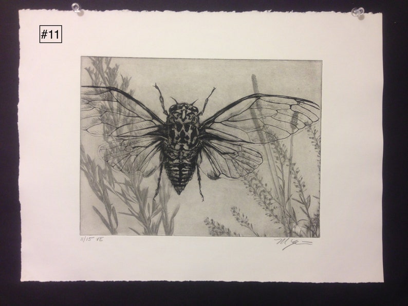 Original solarplate etching on stonehenge paper
