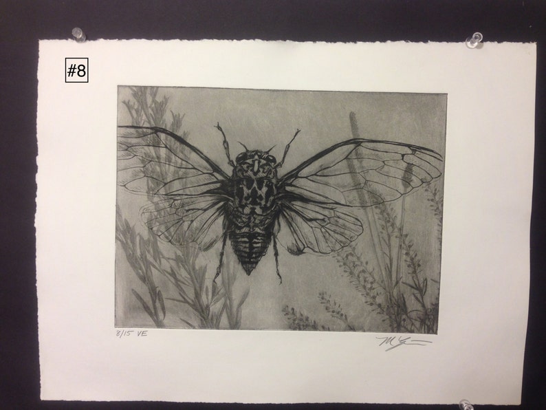 Original solarplate etching on stonehenge paper