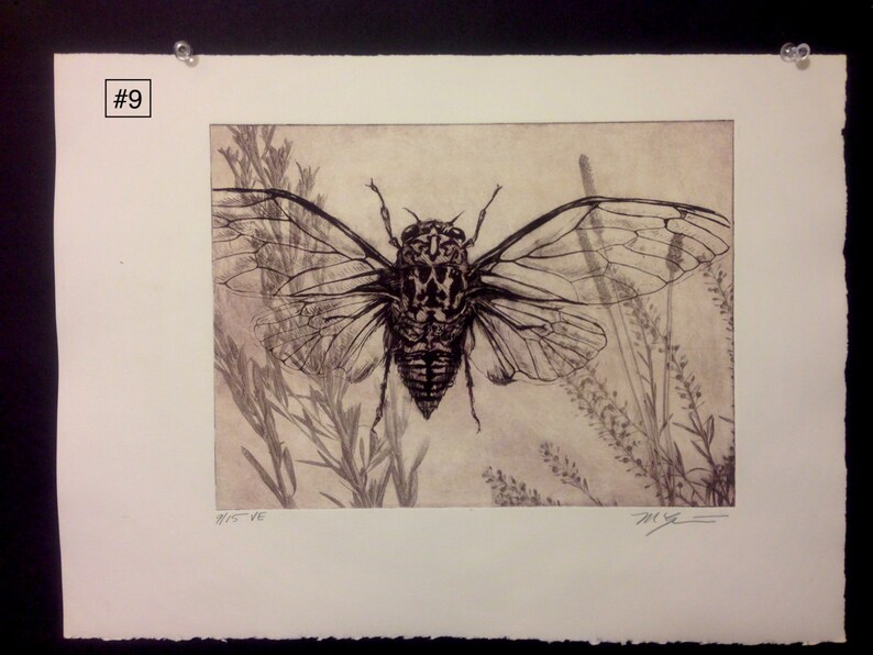 Original solarplate etching on stonehenge paper